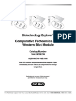 Western Blot 10004531a