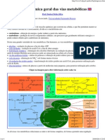 Uma Panorâmica Geral Das Vias Metabólicas