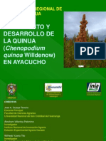 Crecimiento y Desarrollo de La Quinua en Ayacucho