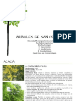 Cuaderno Arboles SPS