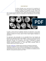 Diatomitas Fostatos Salmueras