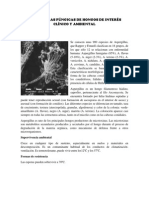 Estructuras Fúngicas de Hongos de Interés Clínico y Ambiental