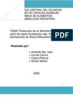 Producción de Un Biofertilizante A Partir de Cepas Azotobacter Spp. Aisladas de Plantaciones de Stevia Rebaudiana3