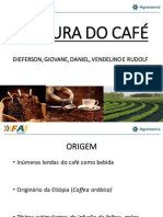 Cultura Do Café