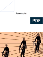 4 Perception