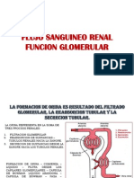 Flujo Sanguineo Renal Funcion Glomerular