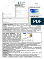 Ficha Técnica de Parásitos