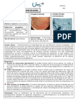 Ficha Técnica - Hongos Subcutáneos