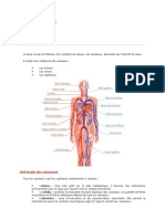 Anatomie Vasculaire