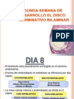 Disco Germinativo Bilaminar