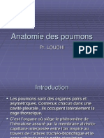 Anatomie Des Poumons Louchi