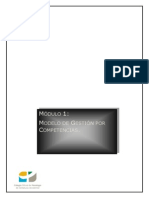 Modulo 1. Modelo - Competencias