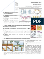 Ficha 4 Reproducao Assexuada