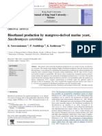 Bioethanol Production by Mangrove-Derived Marine Yeast, Sacchromyces Cerevisiae