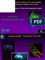 GFP