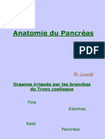 Anatomie Du Pancréas