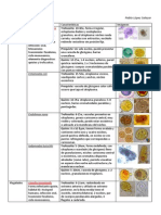 Resumen Parasito 1 2013