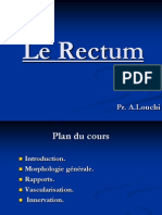 Le Rectum