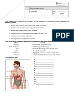 Ciencias Naturais 6 - Sistema Digestivo