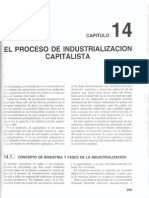 El Proceso de Industrialización Capitalista