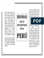 Biomas Del Peru