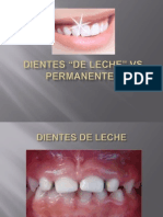 Diferencias Entre Dientes Temporales y Permanentes