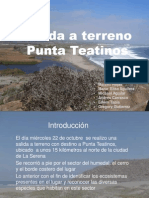 Pta Teatinos