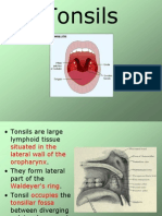 Throat Pharynx AcuteTonsillitisQuinsy ENT Lectures