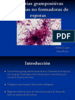 Bacterias Grampositivas Anaerobias No Formadoras de Esporas (Autoguardado)