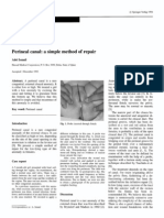 Perineal Canal Simple Repair1