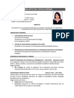 CV - Norka Del Castillo Medina