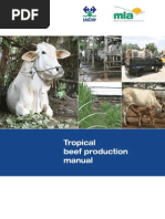 Tropical Beef Production Manual