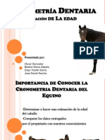 Odontología Equina