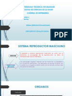 Sistema Reproductor Masculino (Enfermedades)