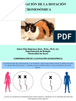 Compensacion de Dosis PDF