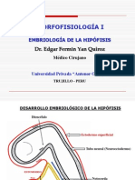 Desarrollo Embriologico de La Hipofisis Edgar Yan