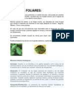 8 Manchas Foliares PDF