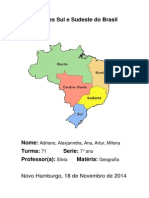 Regiões Sul e Sudeste Do Brasil