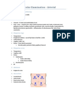 Peripheral Vascular Examination