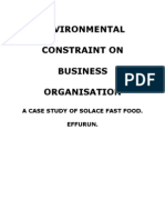 Environmental Constraint On Business Ion