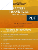 Fatores Terapêuticos