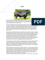 Sistemas de Producción Bovina