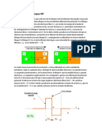 Polarización Del Bloque NP