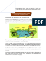 Ecosystem and Biomes and Energy Flow