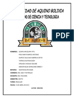 Campo Magnetico Terrestre