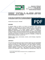 Diagnóstico Fitosanitario de Las Especies Forrajeras Cultivadas en El Centro de Investigación Santa Lucía, Barrancabermeja, Santander