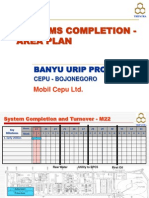 Systems Completion - Area Plan: Banyu Urip Project