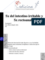 SX Rectoanales