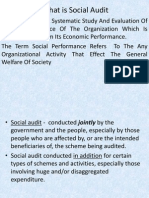 What Is Social Audit