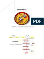 Fermentation: ... When There Is No External Terminal Electron Acceptor!